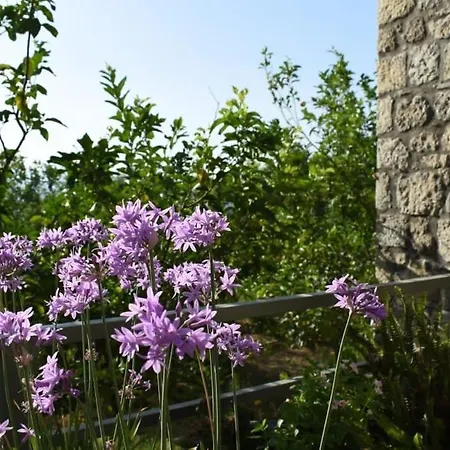 Coastal Stone Hideaway With Stunning Scenery Prázdninový dům *